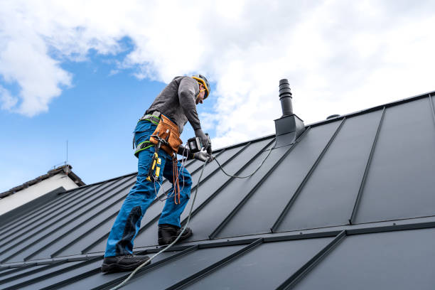 Roof Moss and Algae Removal in Barrett, TX